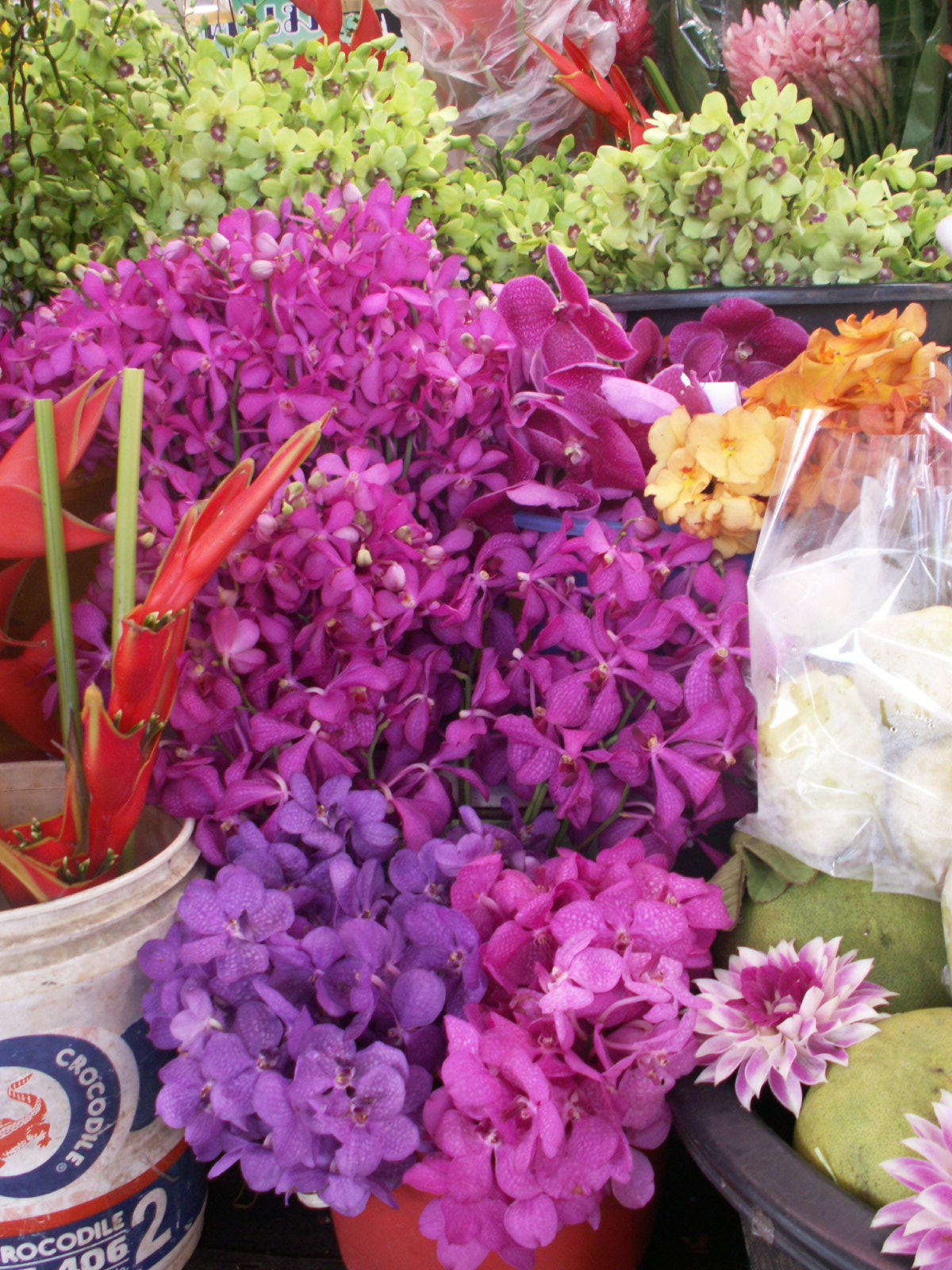 KONICA MINOLTA DIGITAL CAMERA