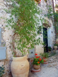 Flowers outside Village House - Copy