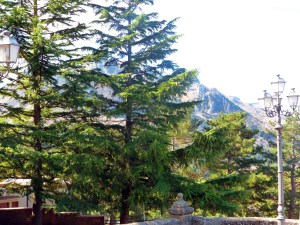 Madonie National Park 2