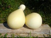 Provola delle Madonie