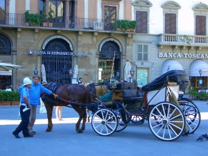 Horse and Carriage for a leisurely tour of the city