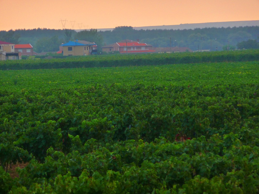 A Pink Dawn Over Rioja