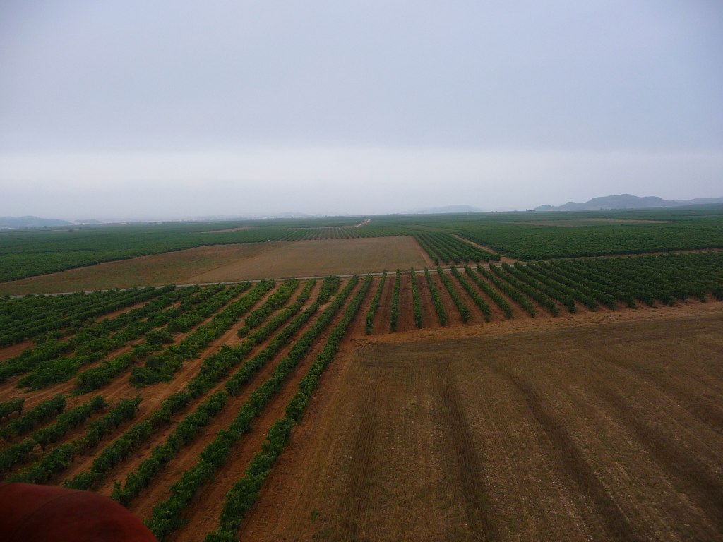Vineyards of the Rioja area