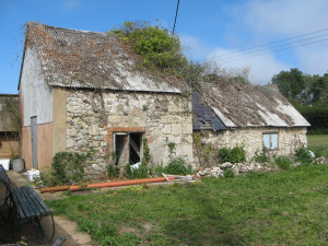 High Street Nether Fondle