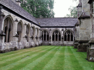 Cloisters-of-Winchester-Cat