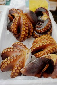 Octopus in Tokyo Fish Market