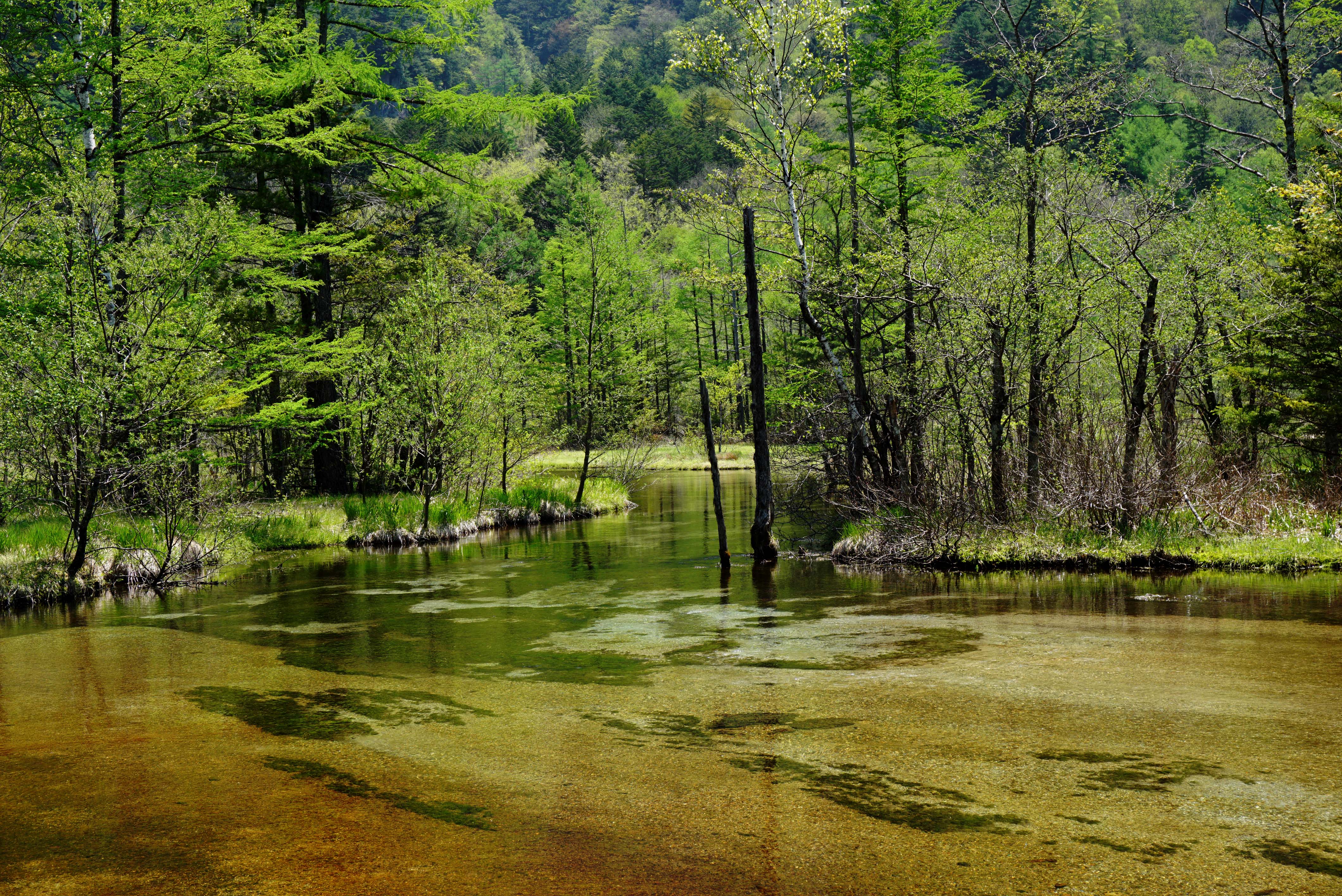 A tranquil spot by the pond