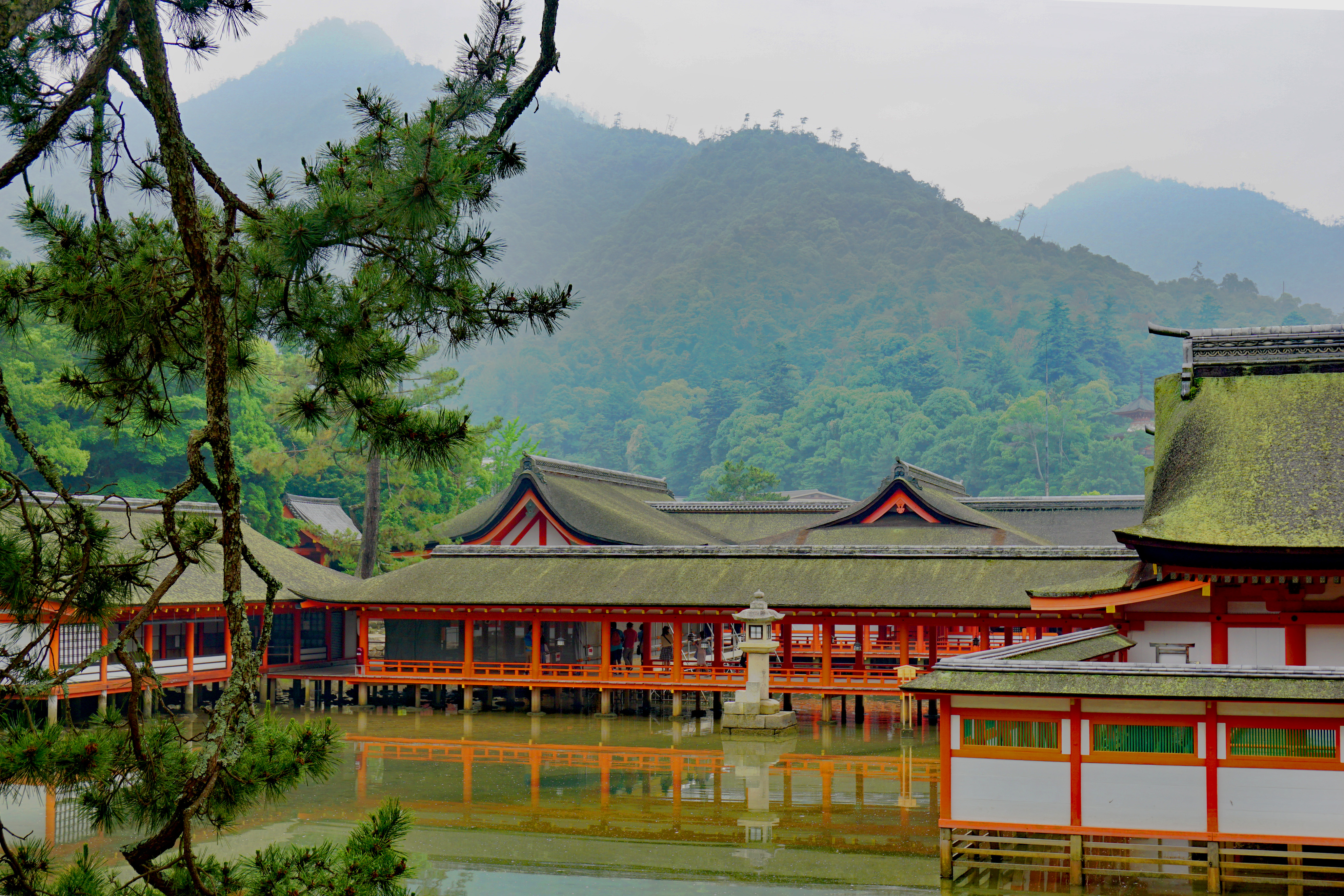 Itsukushima Shinto Shrine, Miyajima - Mari Nicholson