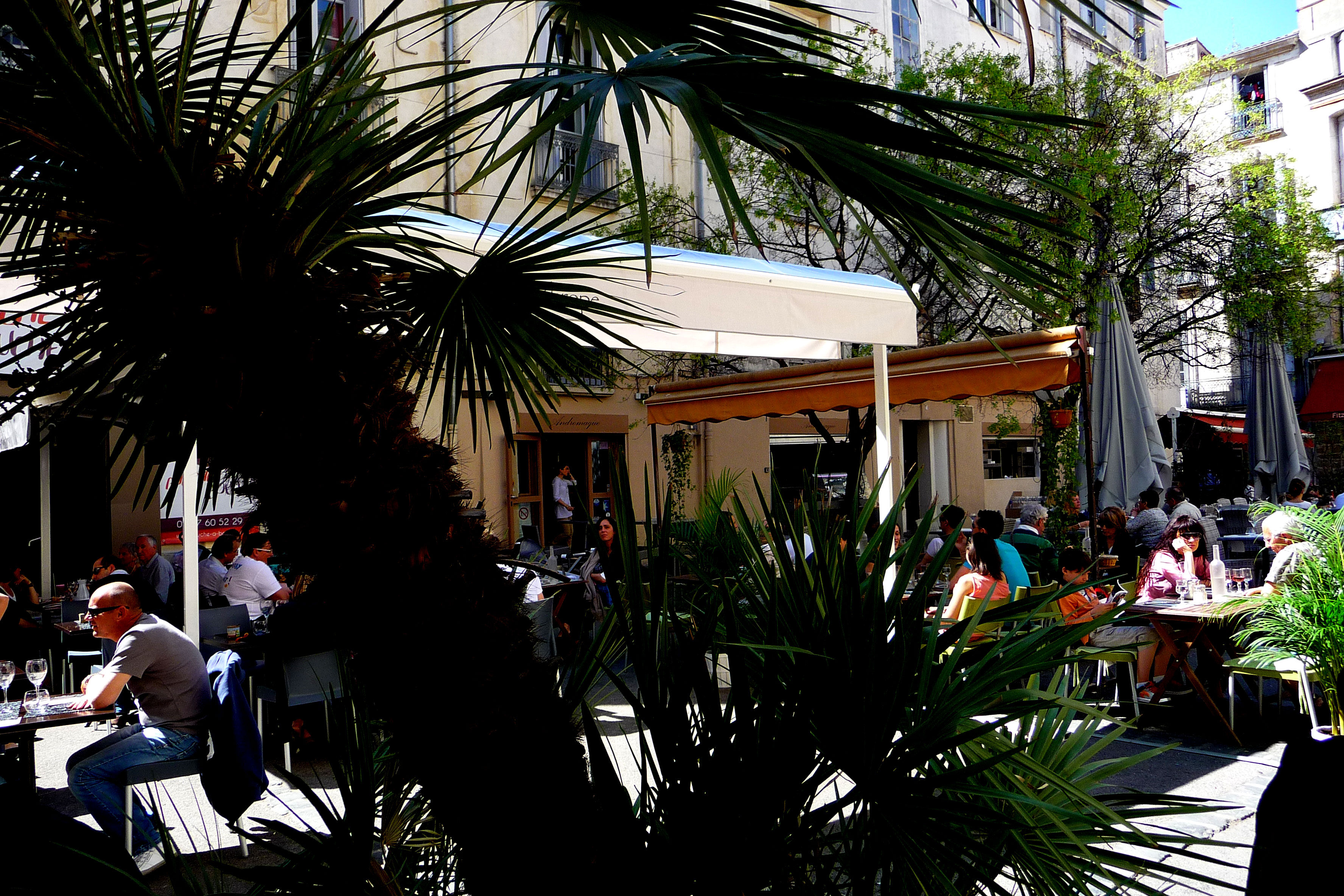 Restaurant,-Montpelier