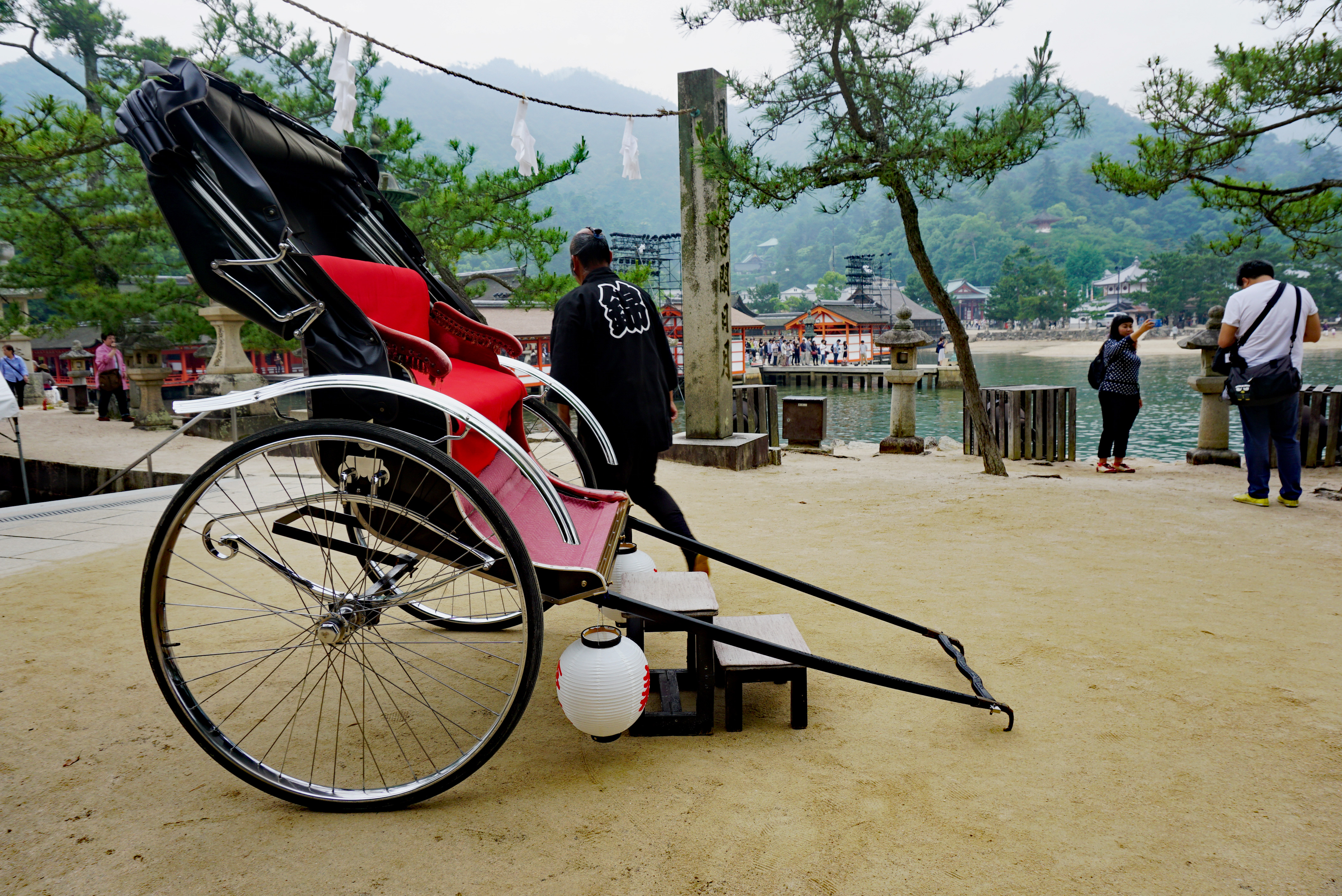 Rickshaw and Driver Awaiting the Bride - Mari Nicholson
