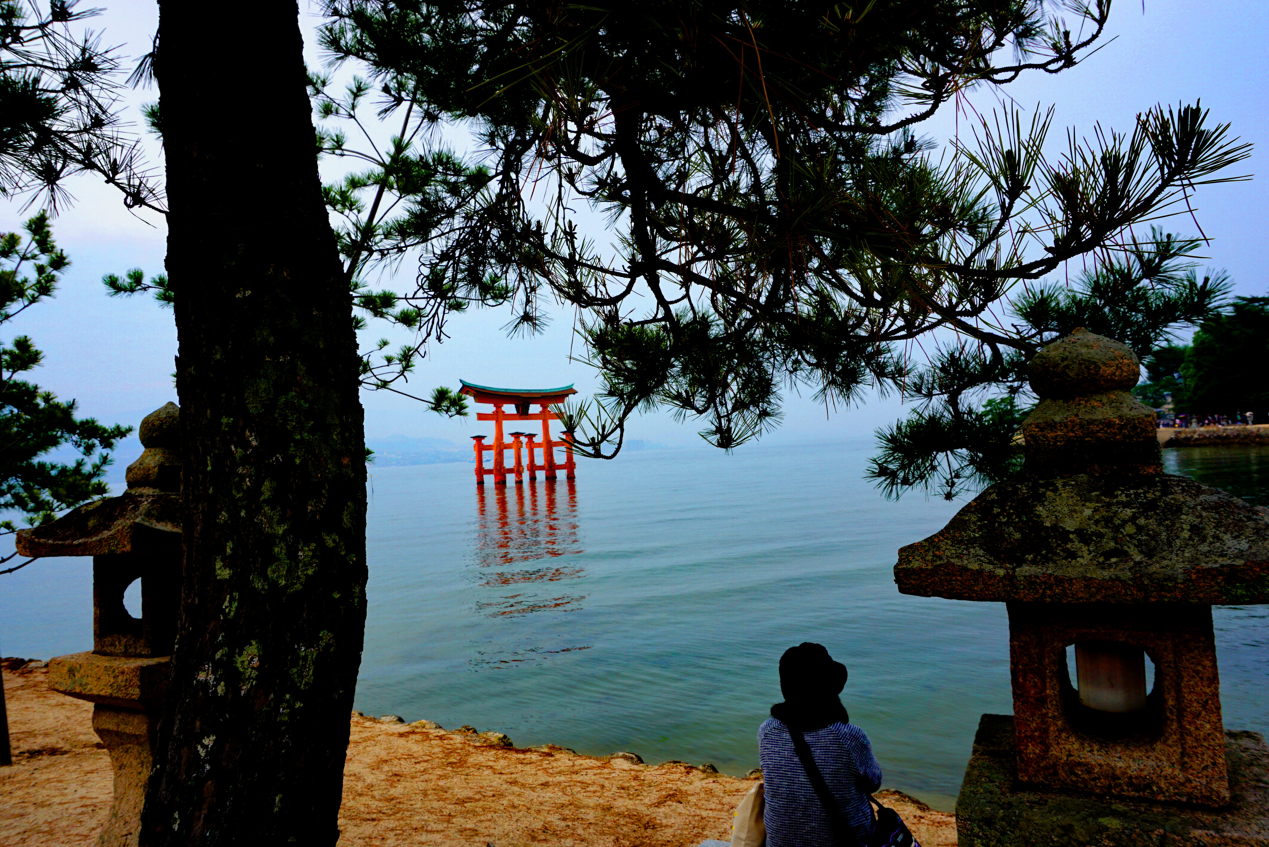 Torii