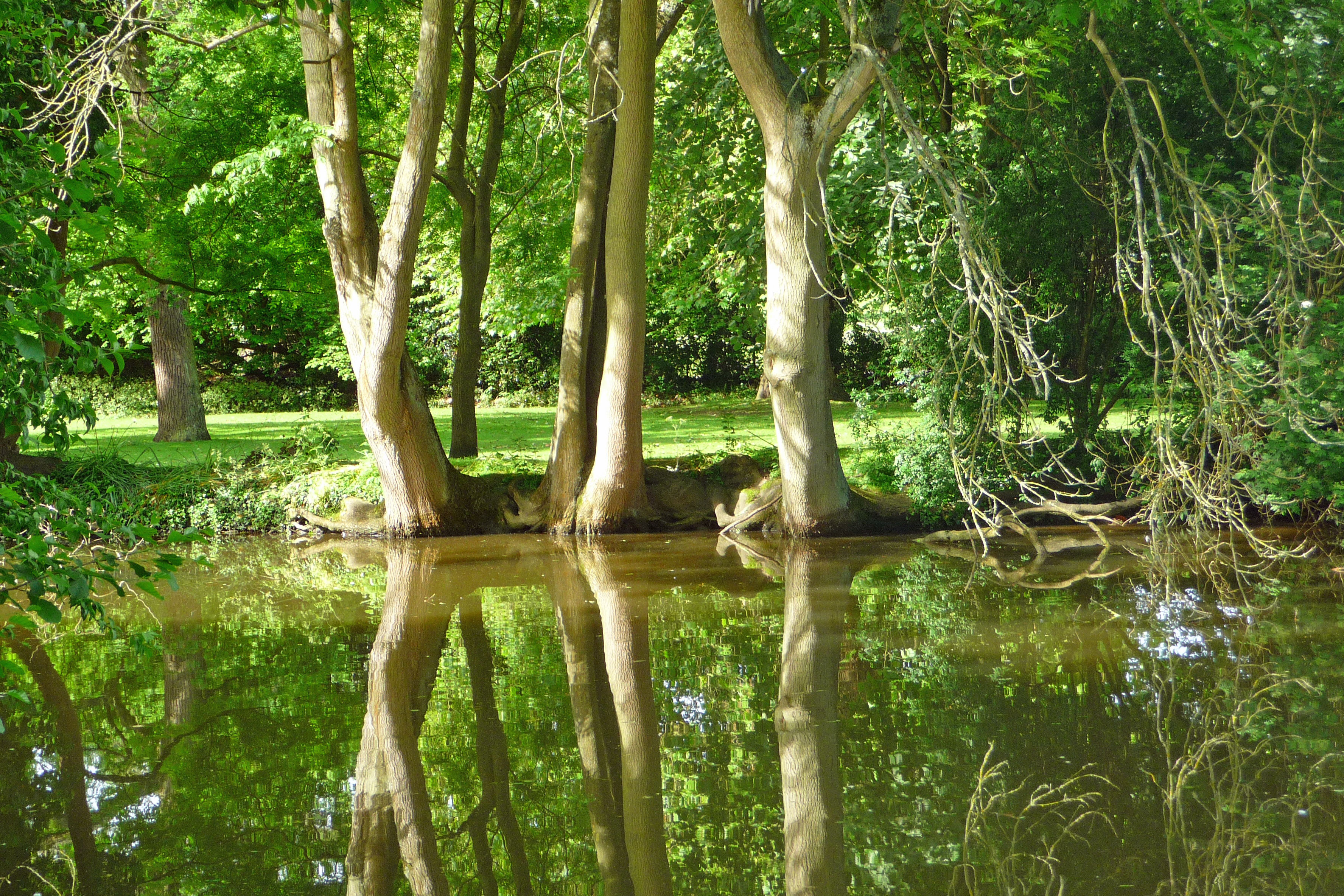 Reflections-in-the-Lake,-St