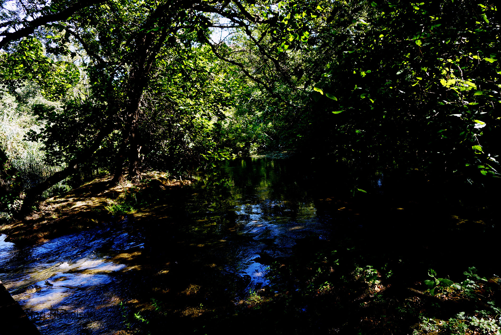 a-quiet-pool-in-the-kyka-river