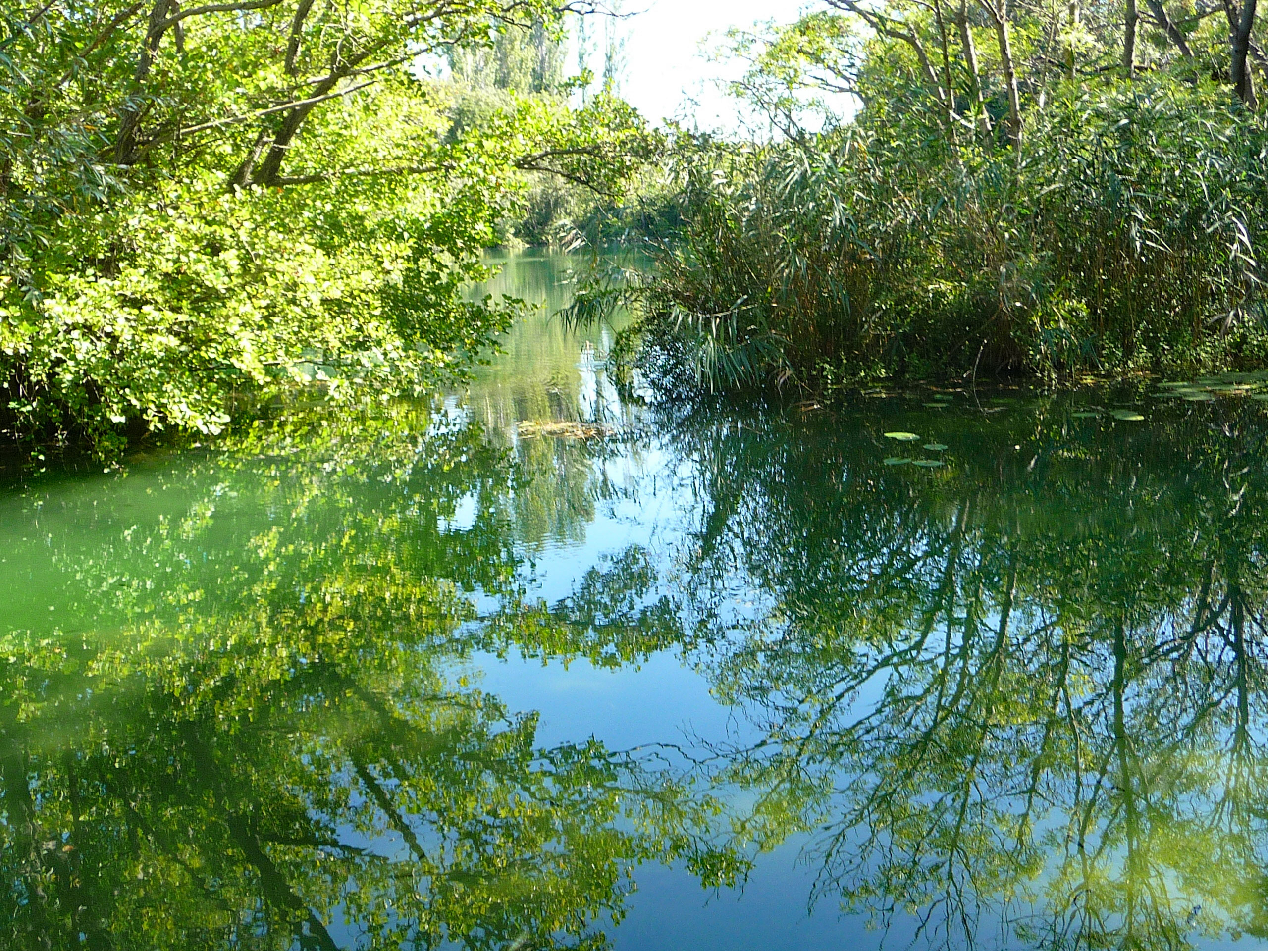 perfect-peace-by-tranquil-pond-on-river-kyka