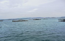 bateas-on-the-sea-at-o-grove