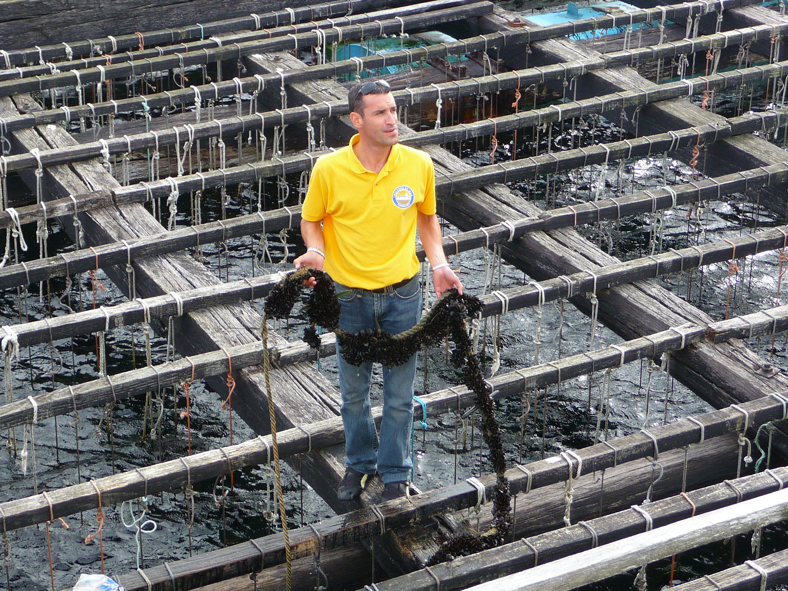 mussells-being-hauled-on-to