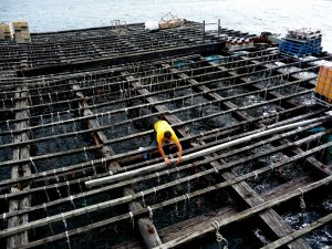 re-arrangig-the-ropes