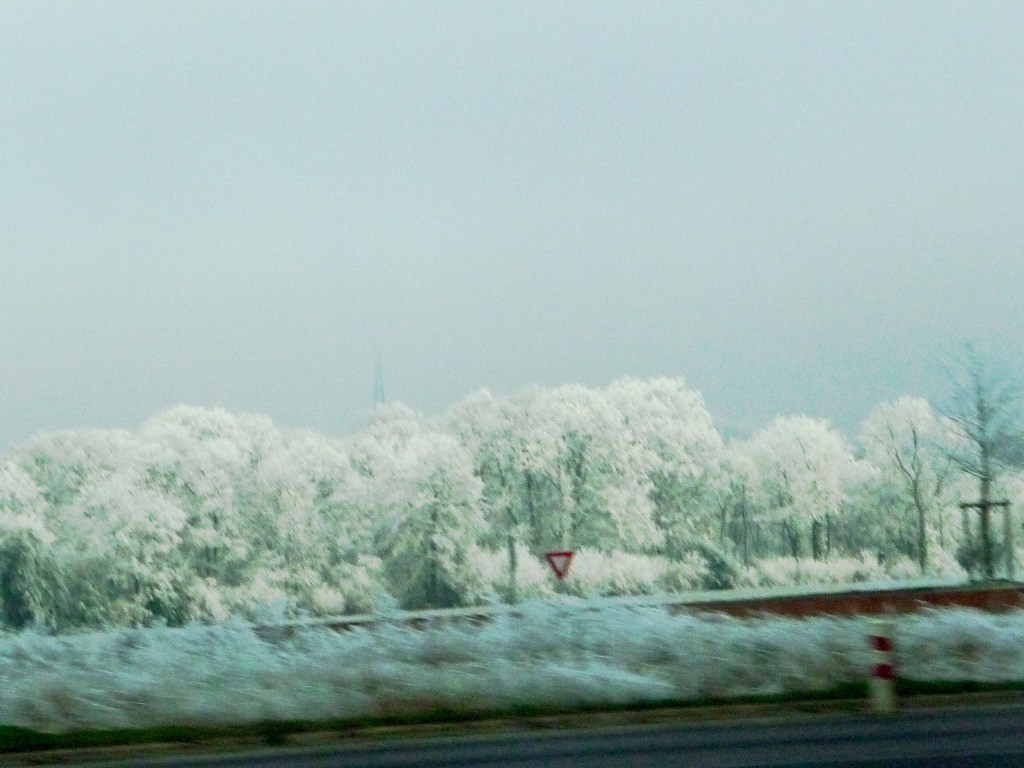 Frost-covered trees near Honfleur