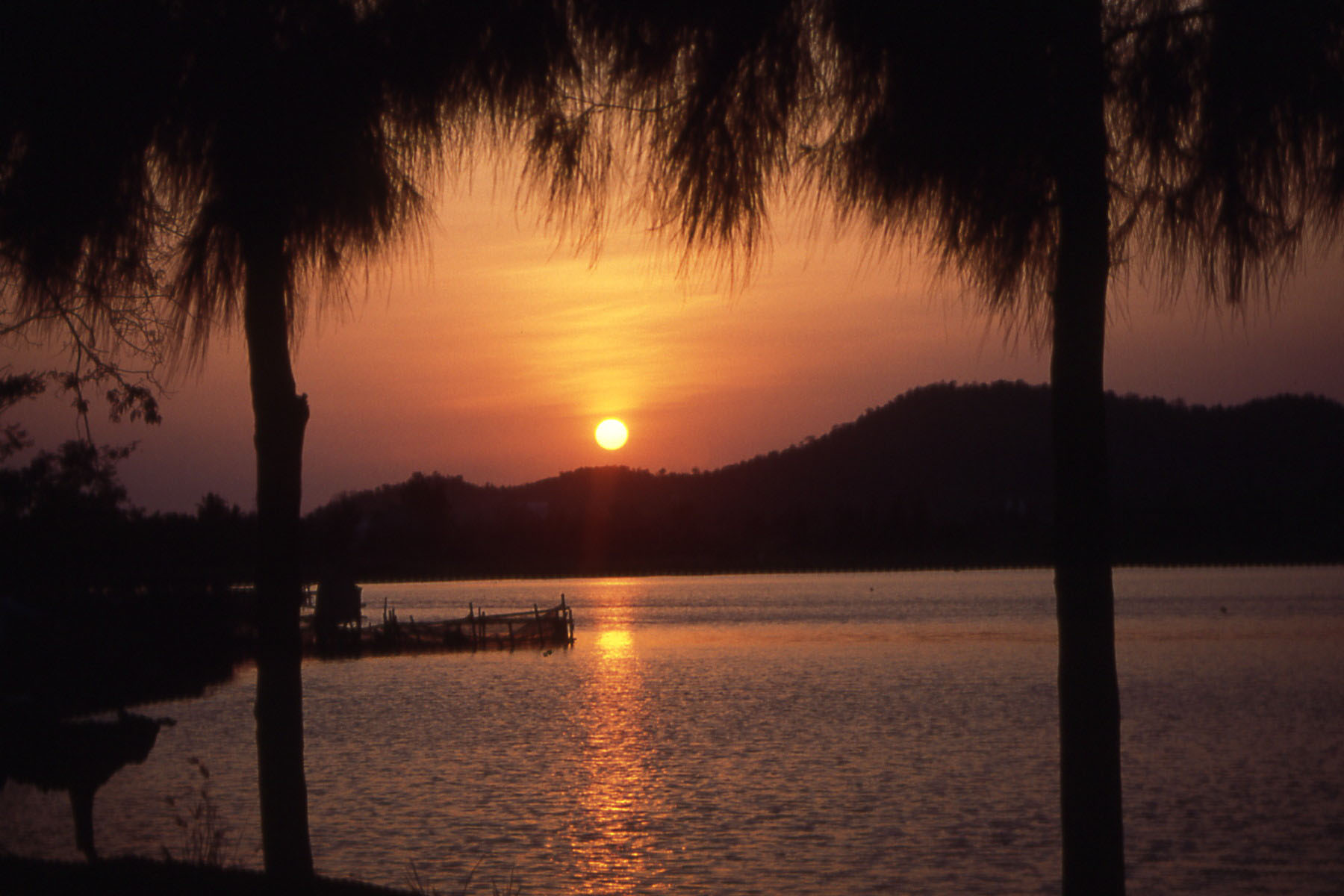 Nothing beats a shiny sunset, sea and palm trees