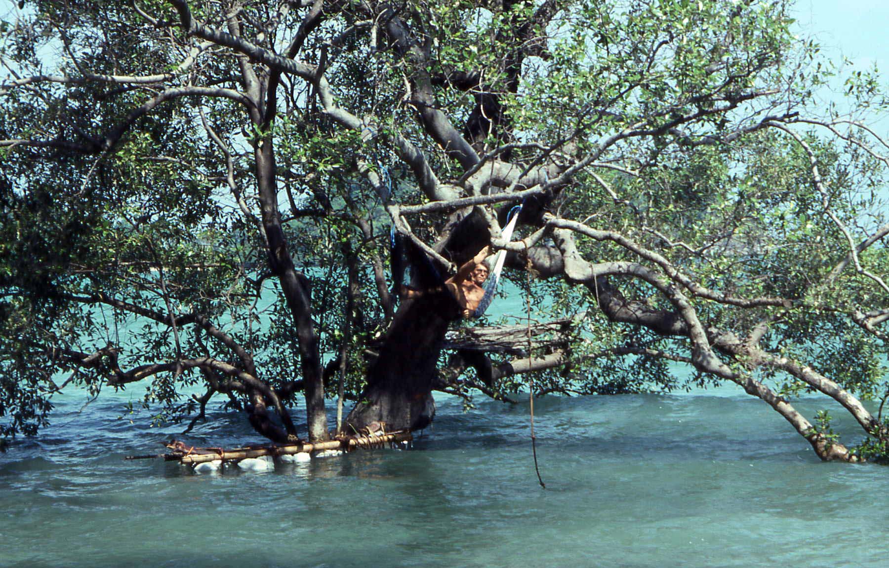 Phuket Krabi Hammock