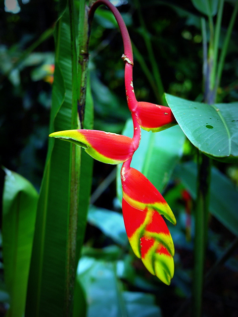 11275073576_af0e599e89_z