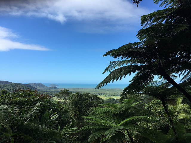 35954092231_7c4eaa79cf_z