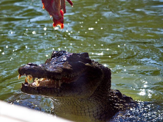 36739105941_b81296b67b_z