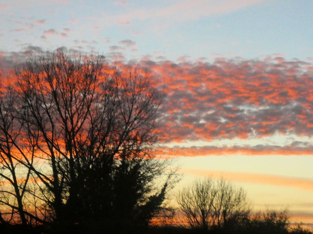 Life in Colour:&nbsp;Orange