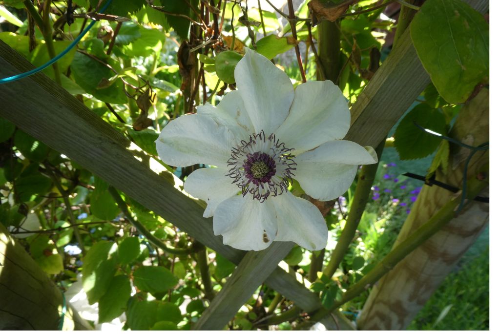 Life in Colour –&nbsp;21